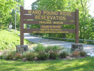 Ward Pound Ridge Reservation | Cross River NY