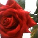 Md Robal Hasn