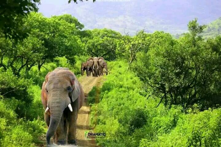 Chebra Churuchaራ በፎቶ እይታ