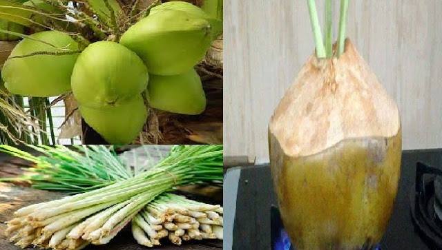 Kelapa bakar herbal | Klang