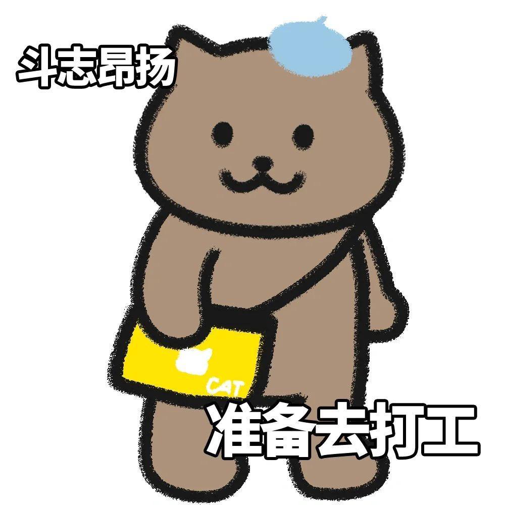 办公室小七吖