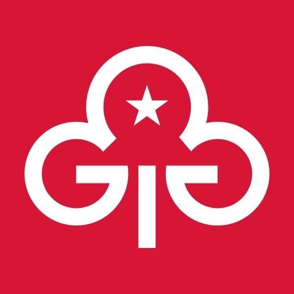 Midlands Trefoil Guild | Stuck for inspiration for the Bronze Voyage ...