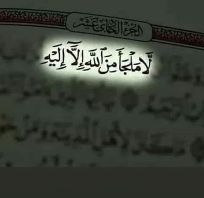 إِنَّ رَبِّي لَغَفُورٌ رَّحِيمٌ