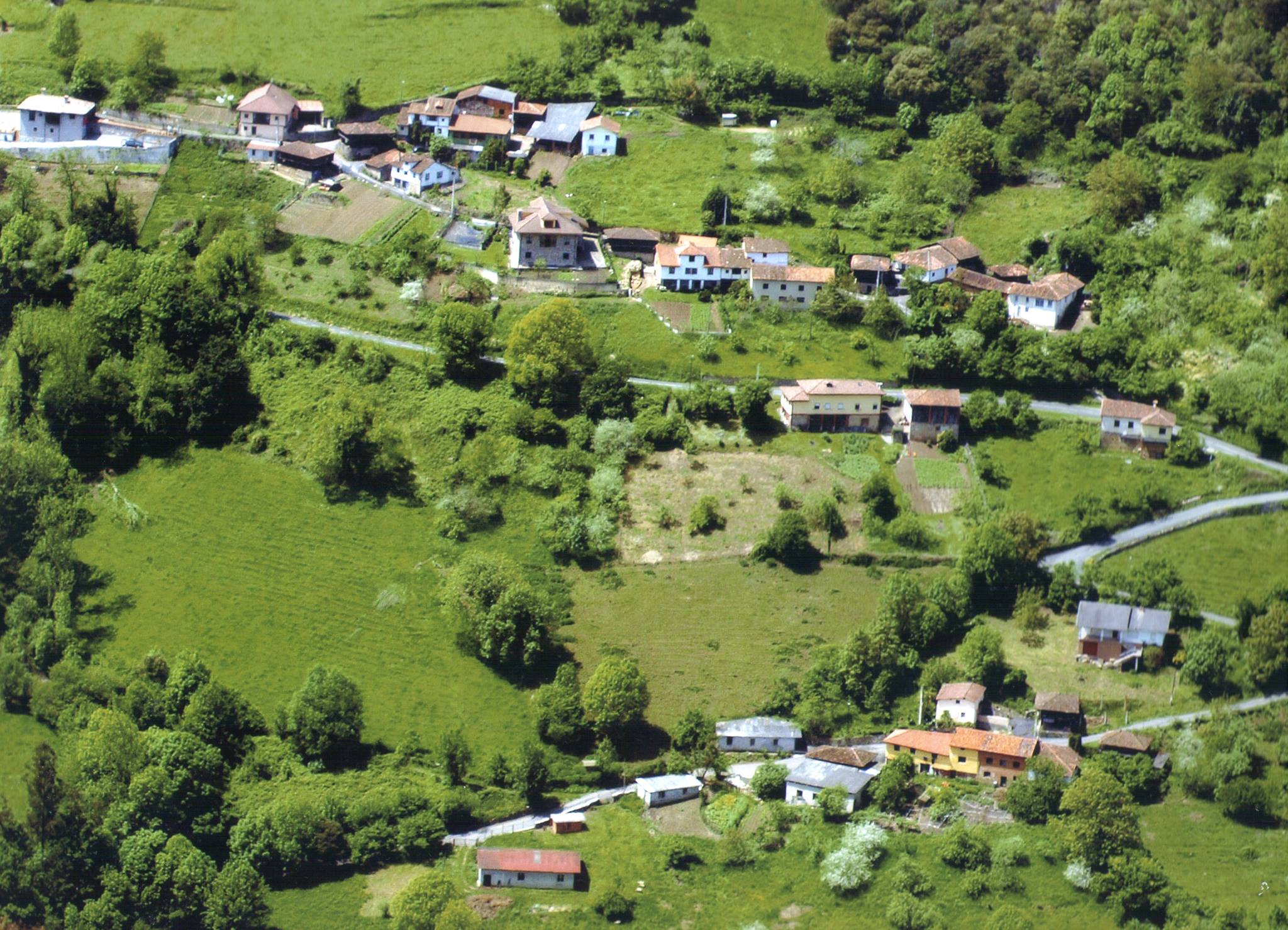 Cubia Grao
