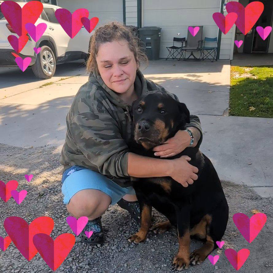 Vom Schwarzen Donner Rottweilers