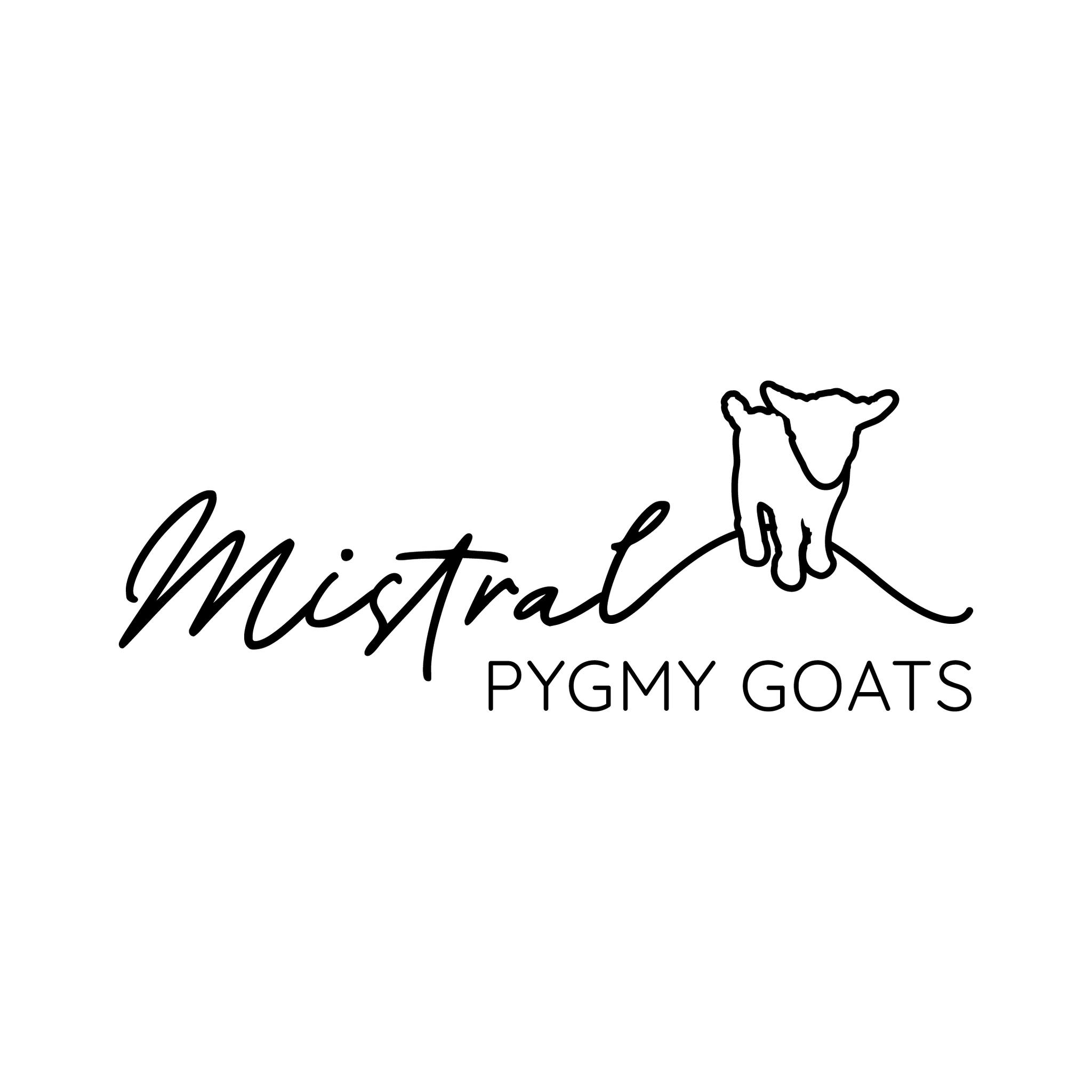 Pygmy Goat Logo Classic But Playful Logo Design For A Family Who