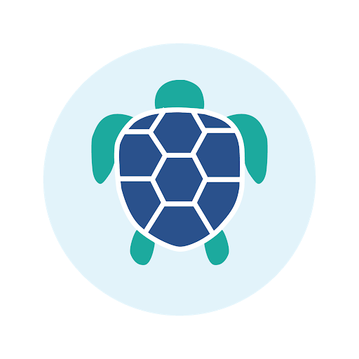 Save The Turtles Initiative