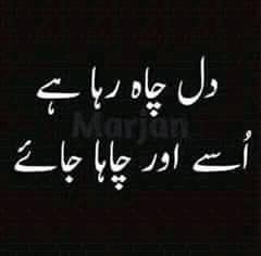 The Poetry
