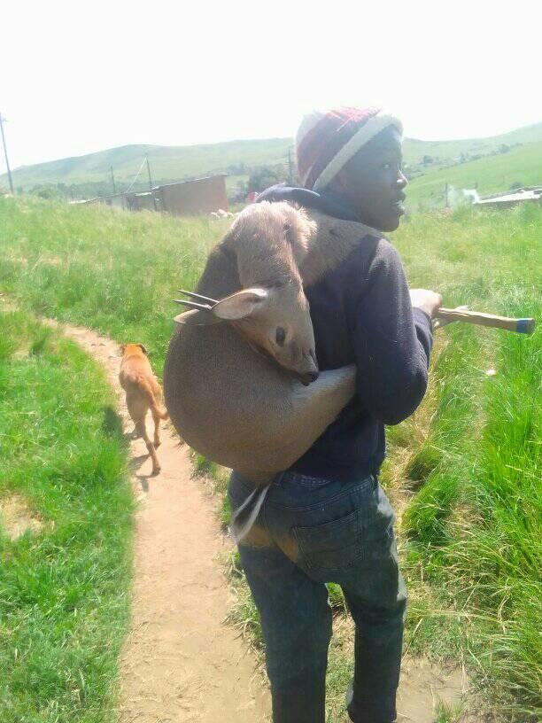 Manqoba mhlongo