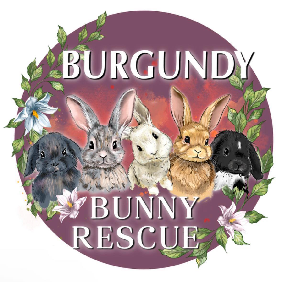 Burgundy Bunny Rescue
