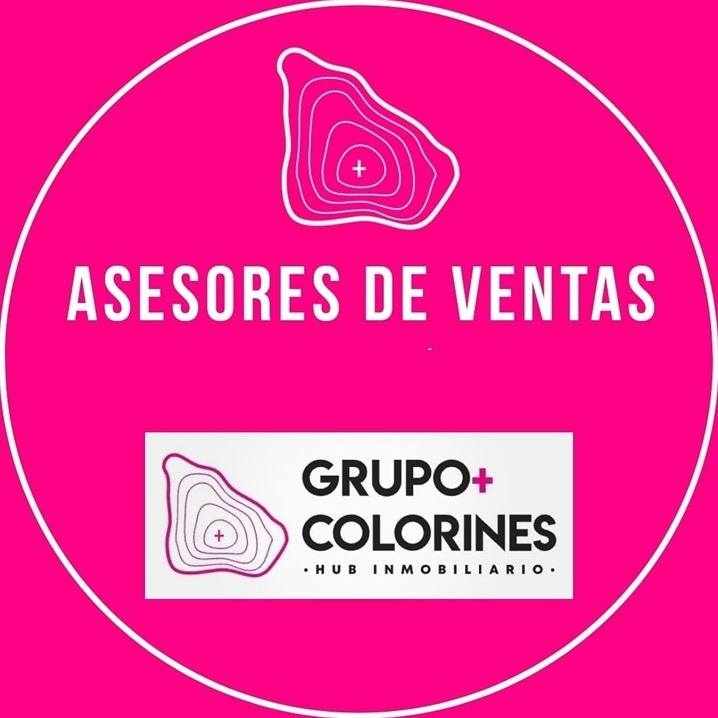 Asesor de Ventas de Grupo colorines