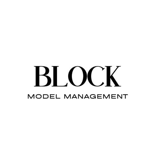 Block Model Management Workshop