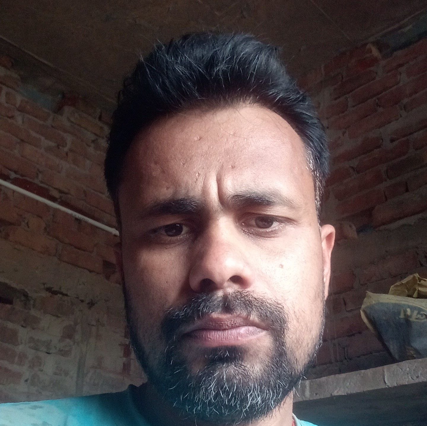 Rangila Bhojpuriya