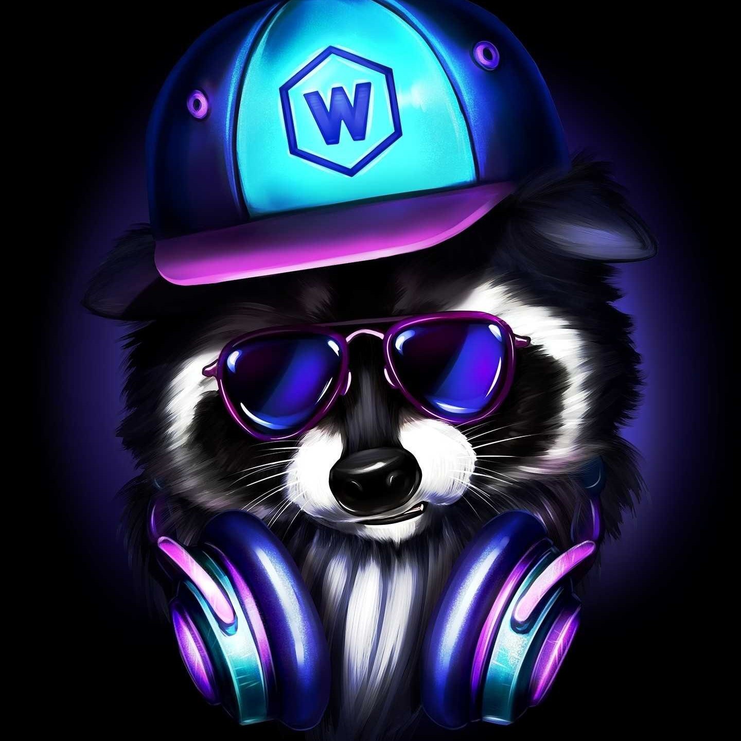 Frisky Raccoon | Kyiv