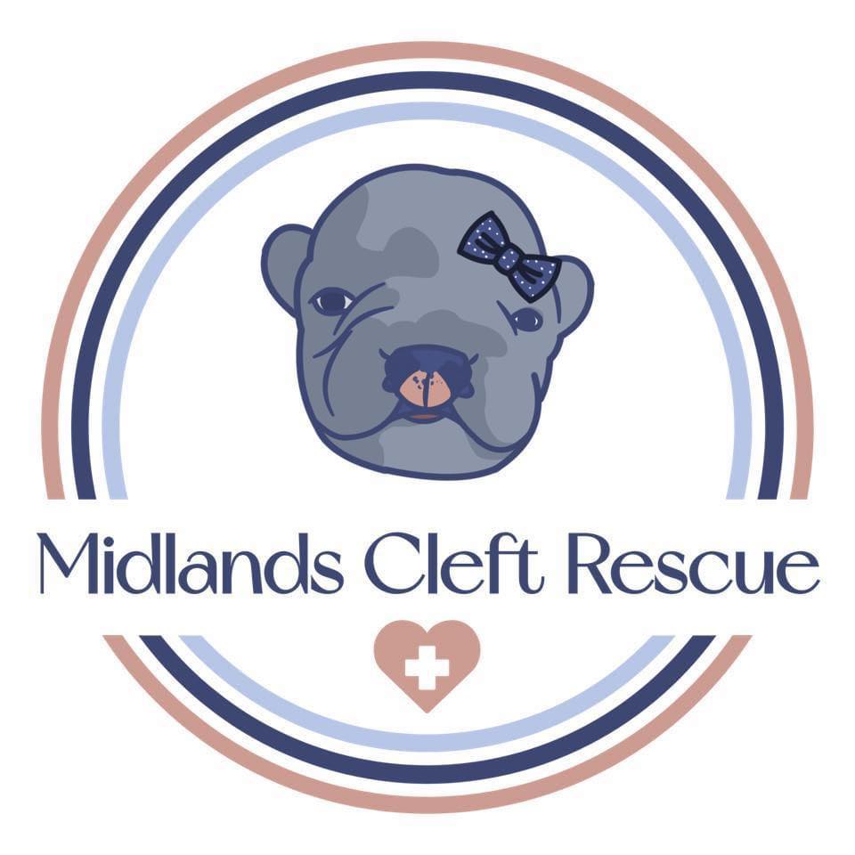 Cane Corso Rescue