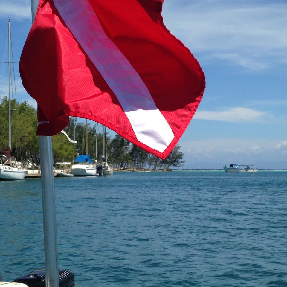 Divers Quarters at Brooksy Point, Roatan | Roatán