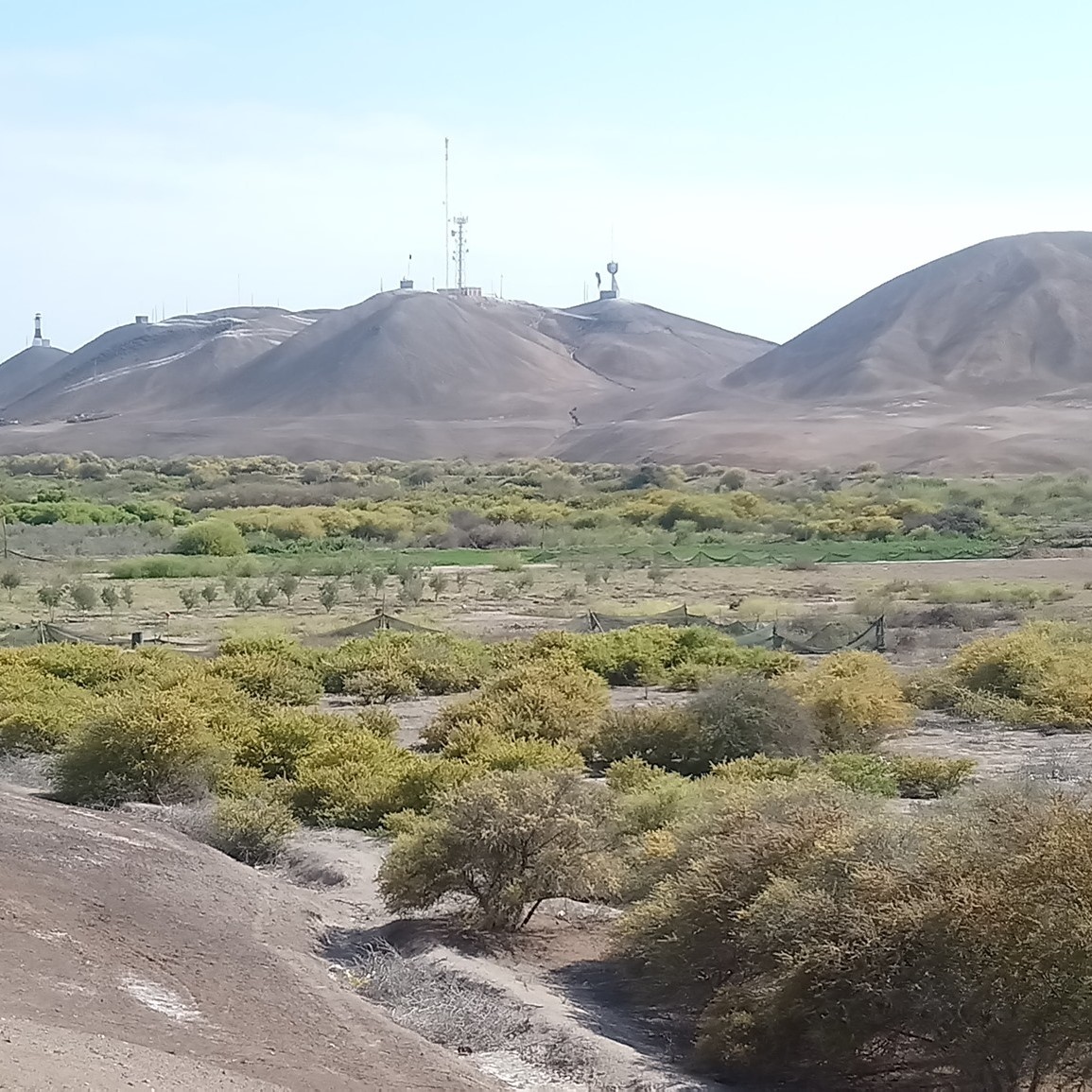 Área de conservación 