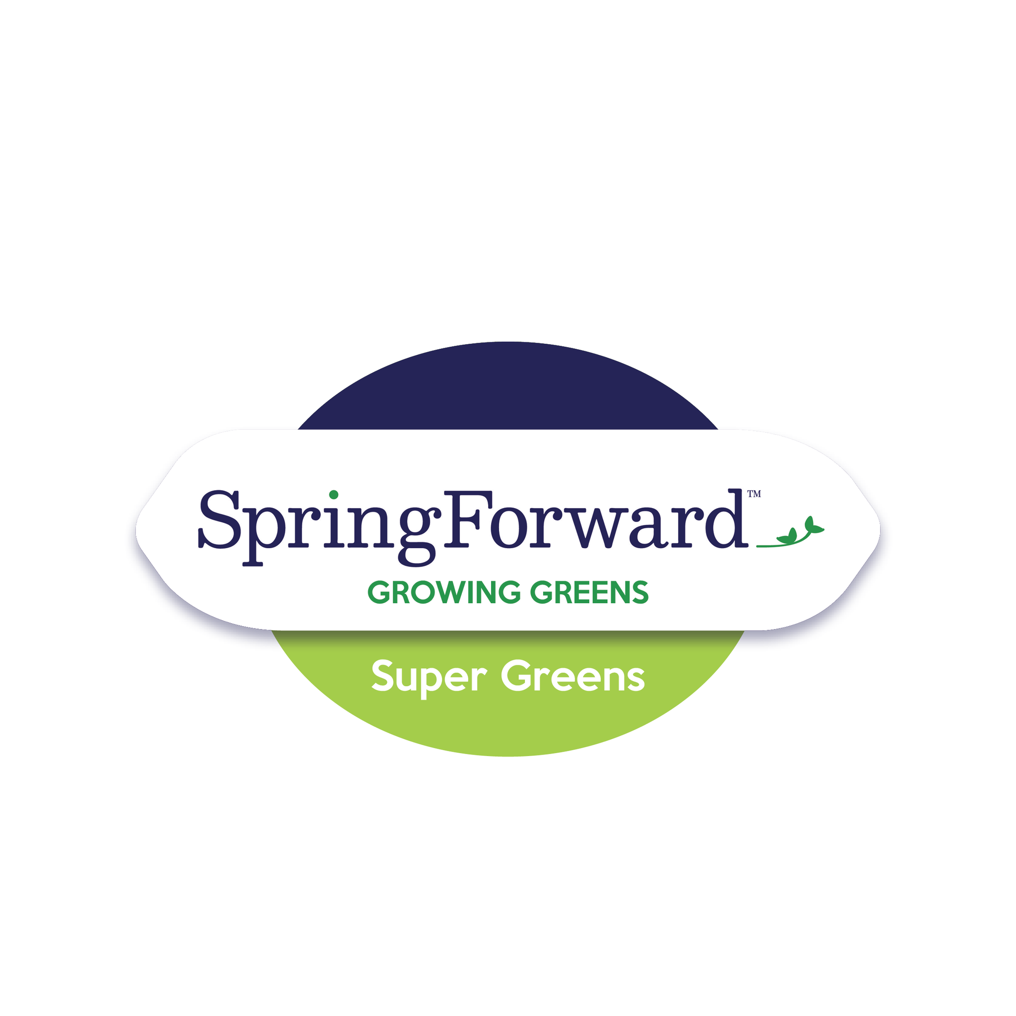 SpringForward | Baltimore MD