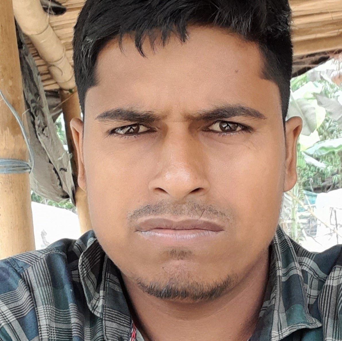 Md Betul Islam