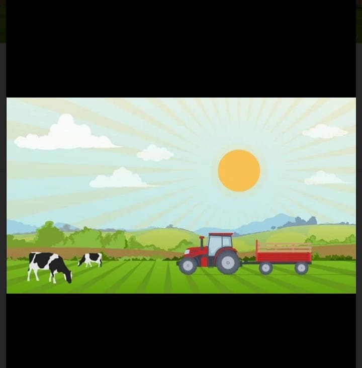 BM Farm Savannakhét