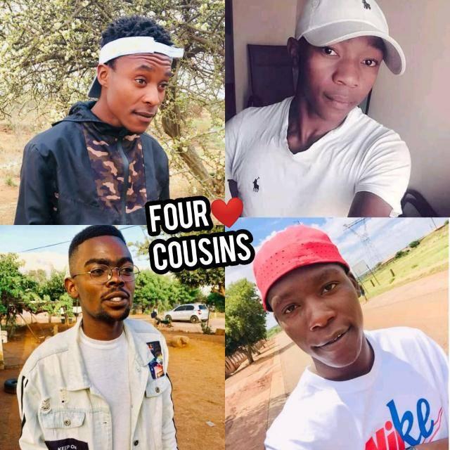 Four Cousins Mapara Sosha