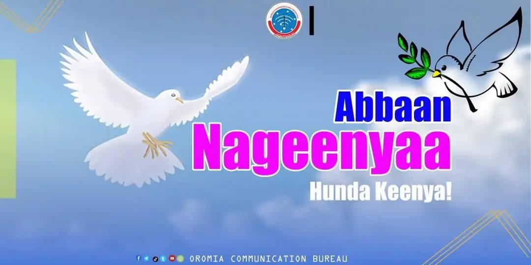 Hoolaa Rabbii