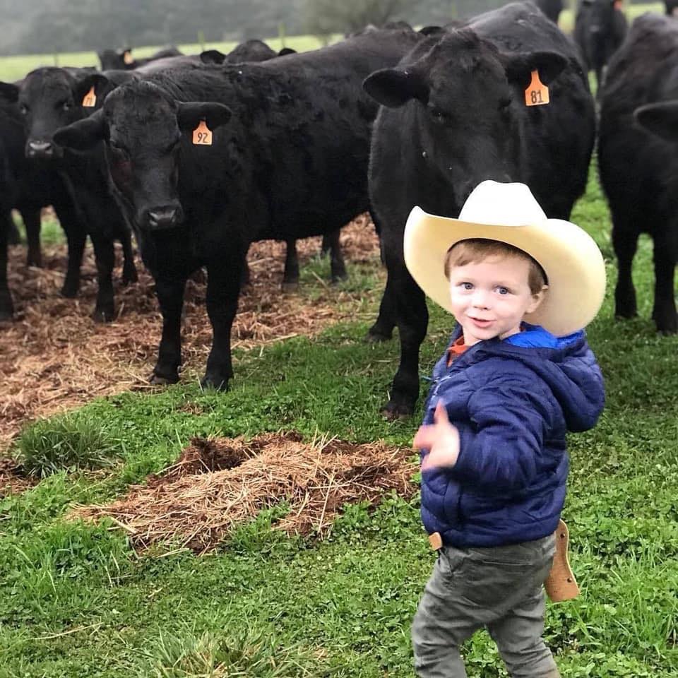 Waddell Cattle Company | Woodland GA
