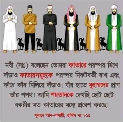 MD Hasan Rabbi