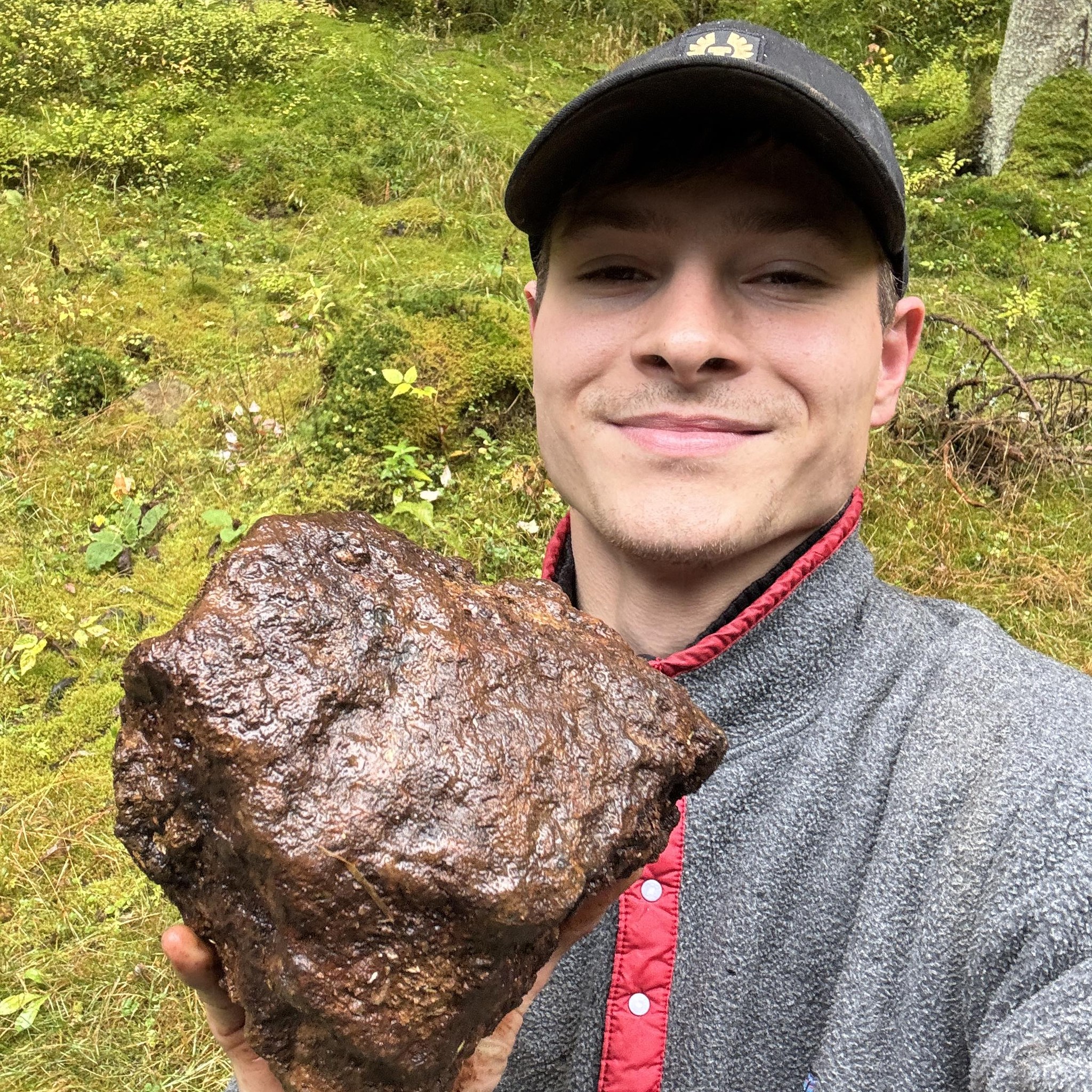 Topherspin Meteorites Group | Found a bit of the Madura Cave meteorite ...
