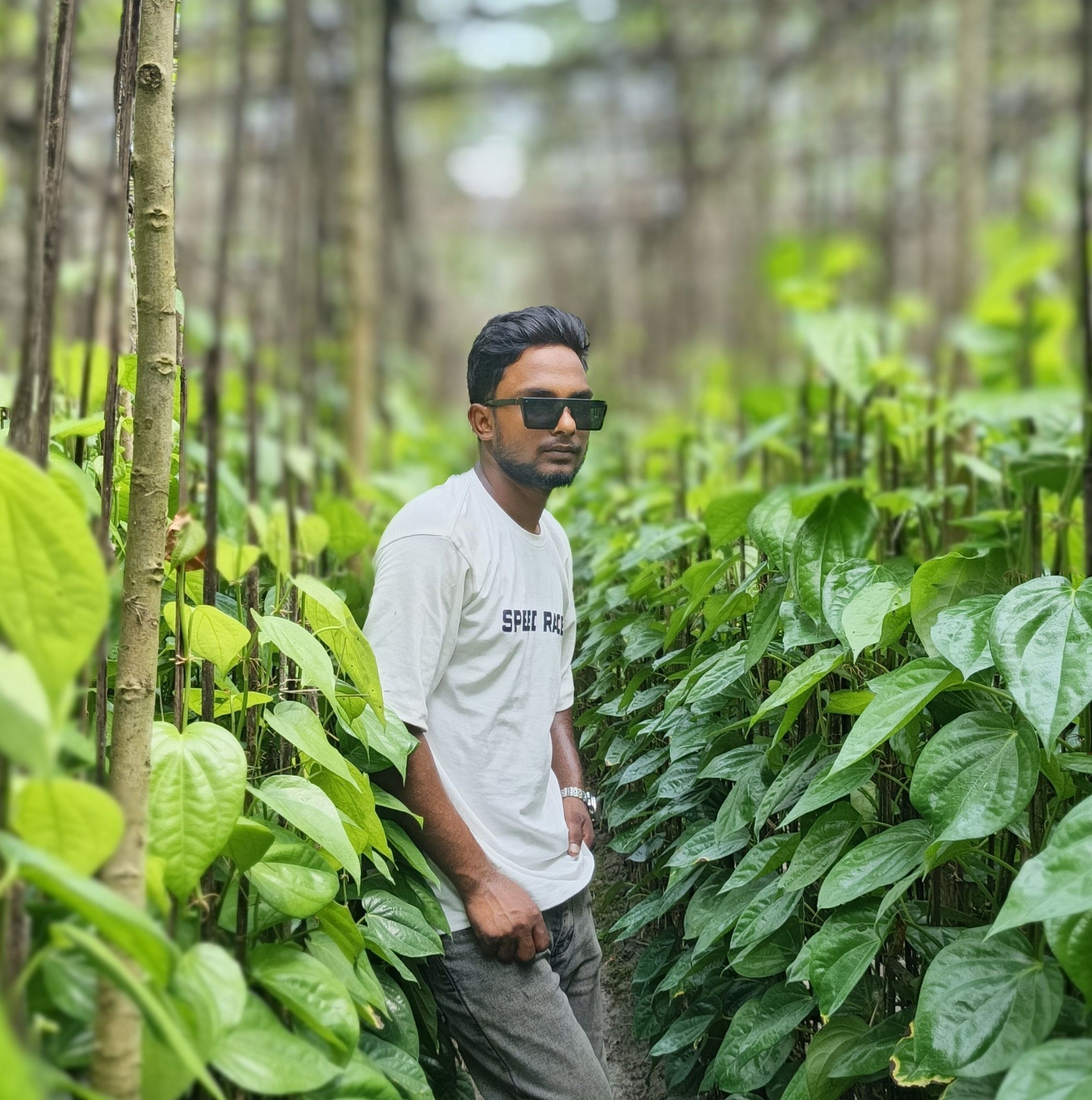 Raju Raj