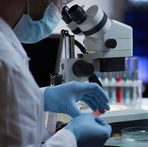Usama Medical Laboratory | Rahimyar Khan