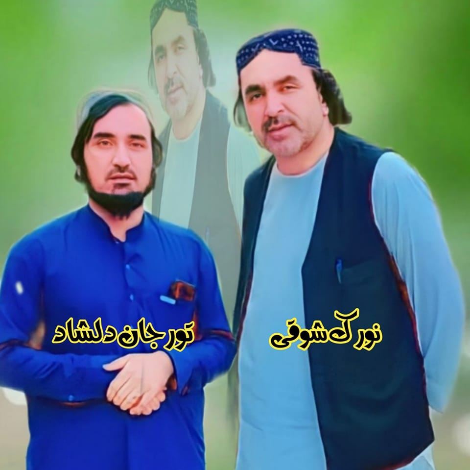 نورک شوقی