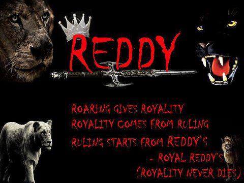 BUSI Reddy's