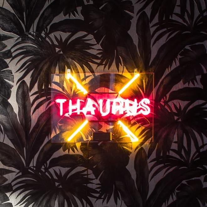 Thaurus Studio