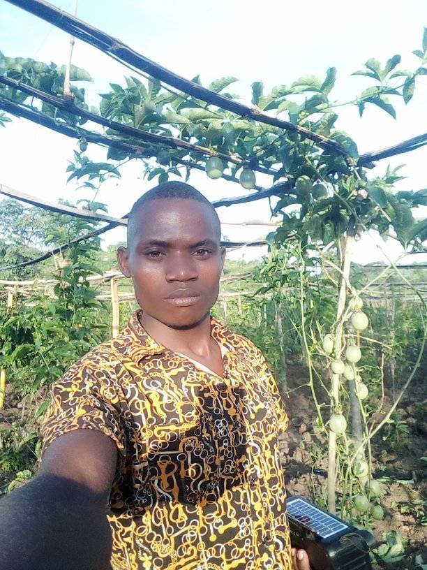 Wego farom bikkowla godfery | Kampala