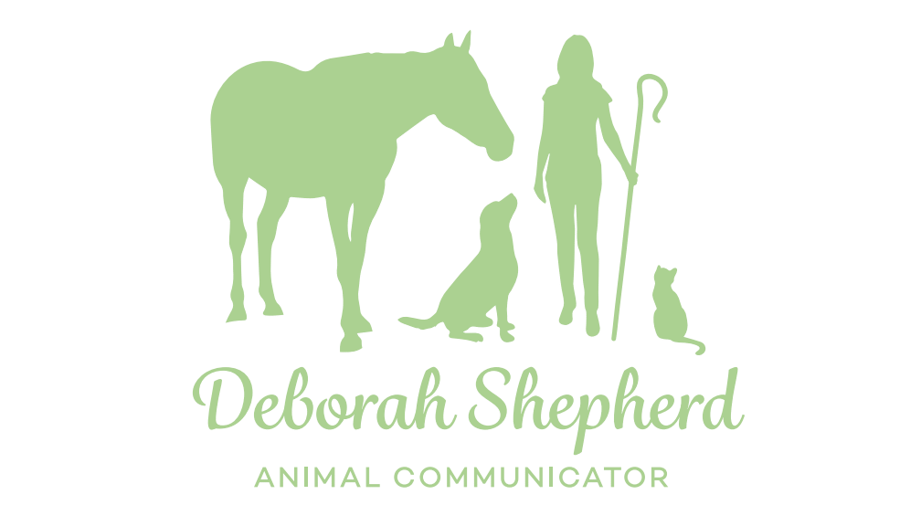 Deborah Shepherd, Animal Communicator