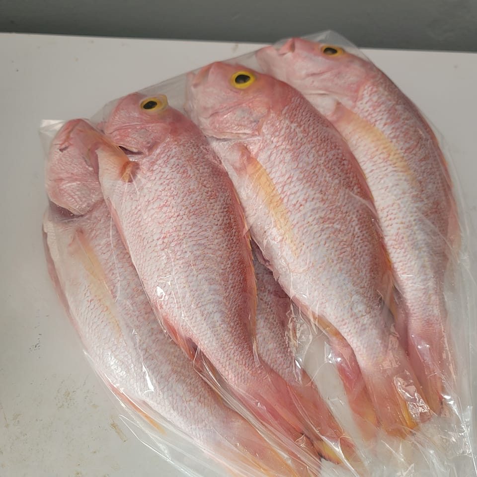 Pesca humilde