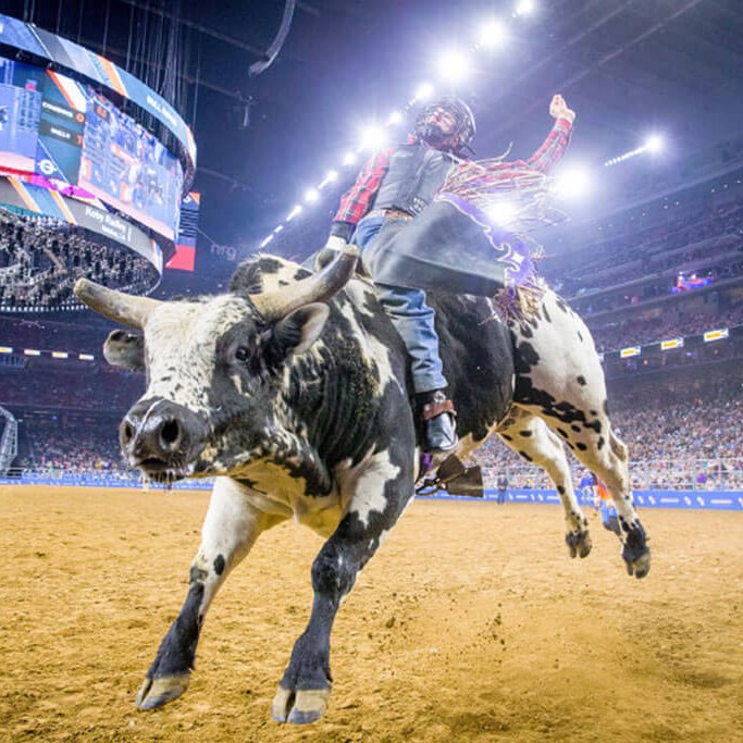 Houston Livestock Show & Rodeo