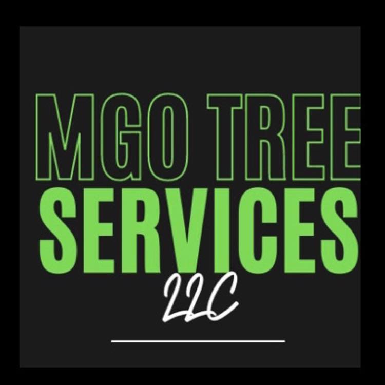 MGO Tree Services, LLC | Tucker GA