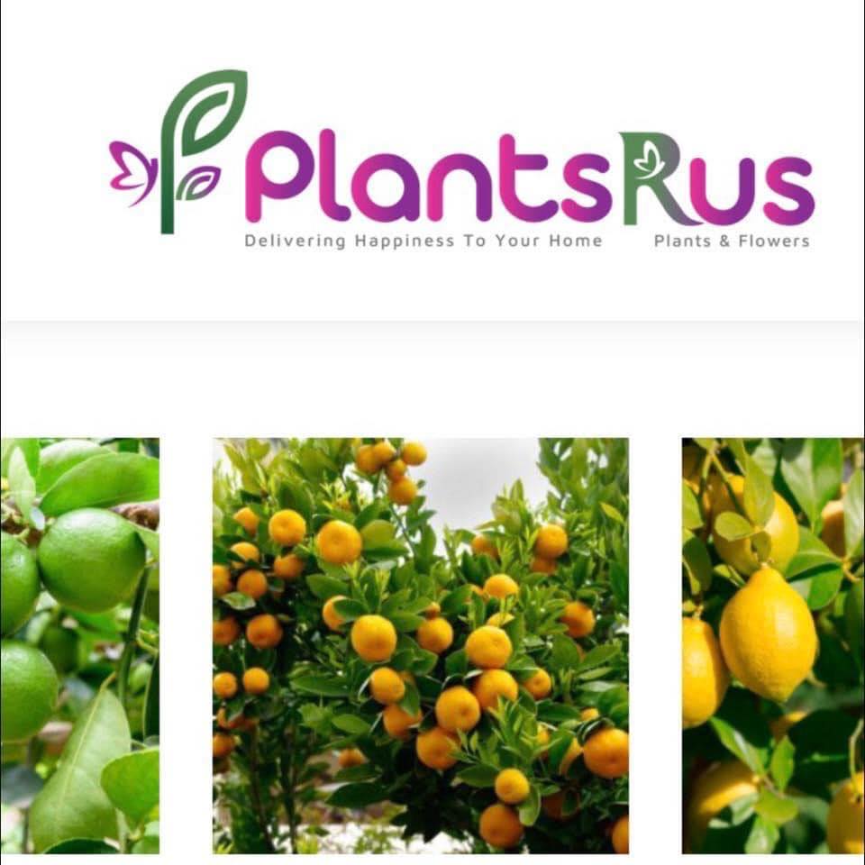 PlantsRus | Doha