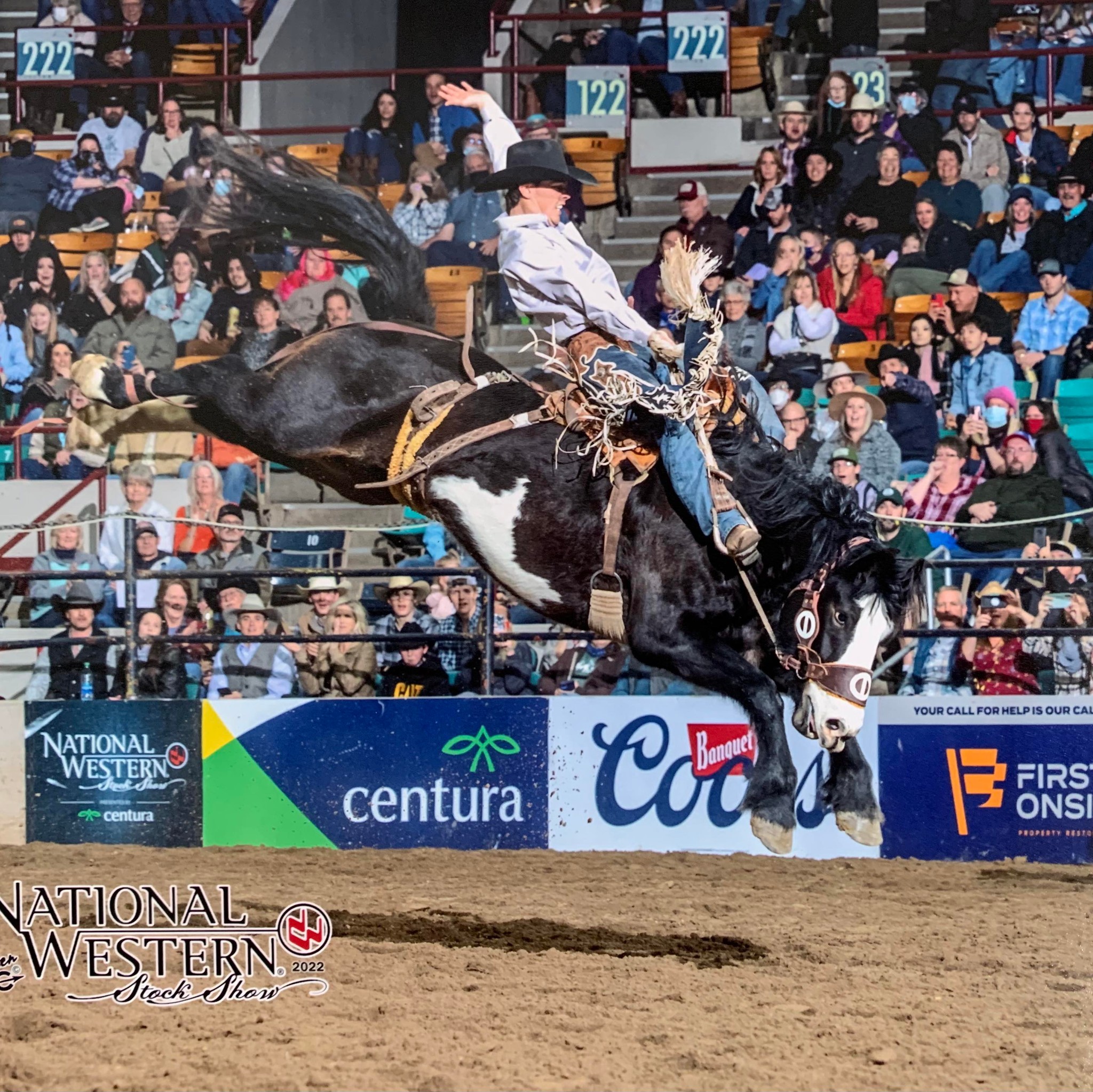 Damian Brennan Professional Saddle Bronc Rider