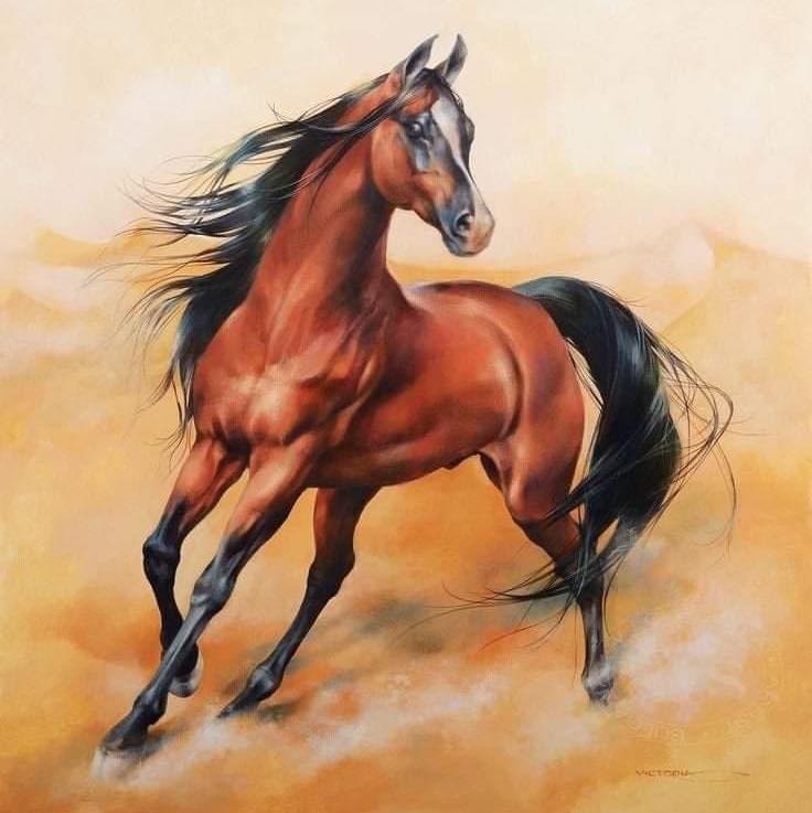 ٹانگہ ریس