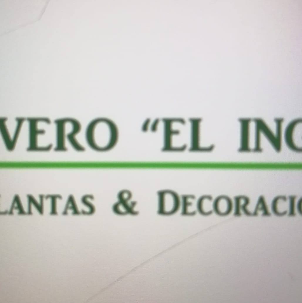 Vivero 