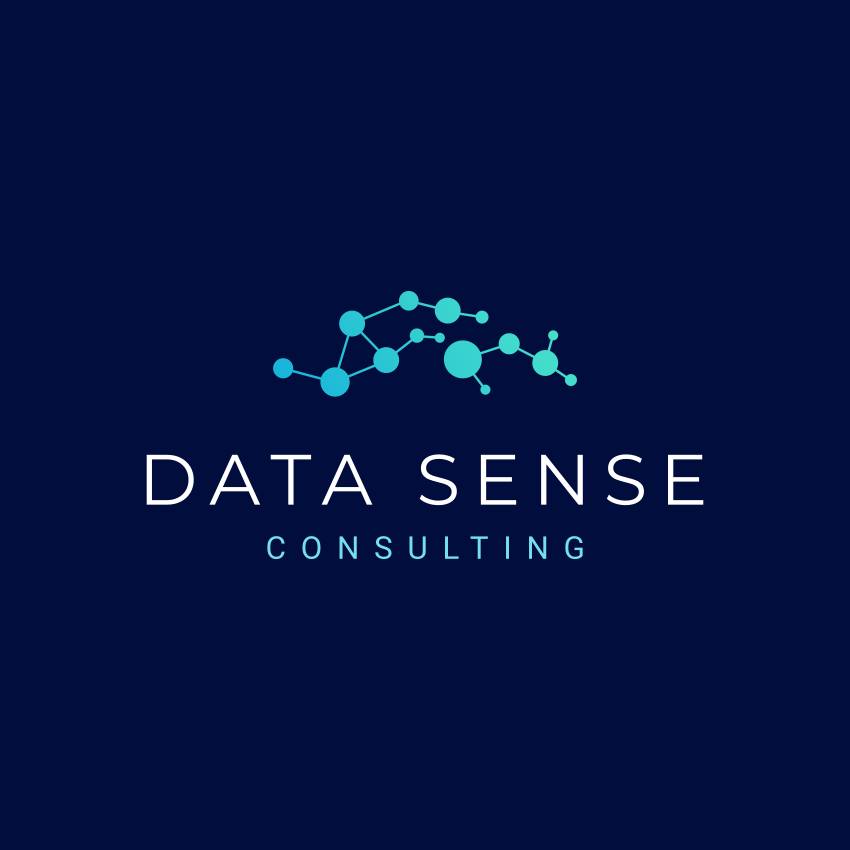 Data Sense Consulting | Doral FL