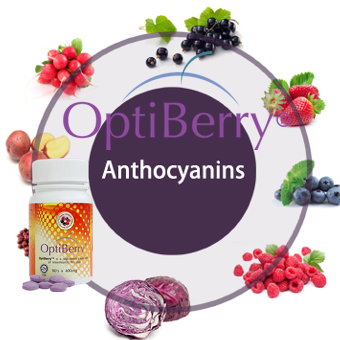 Anthocyanins Berries