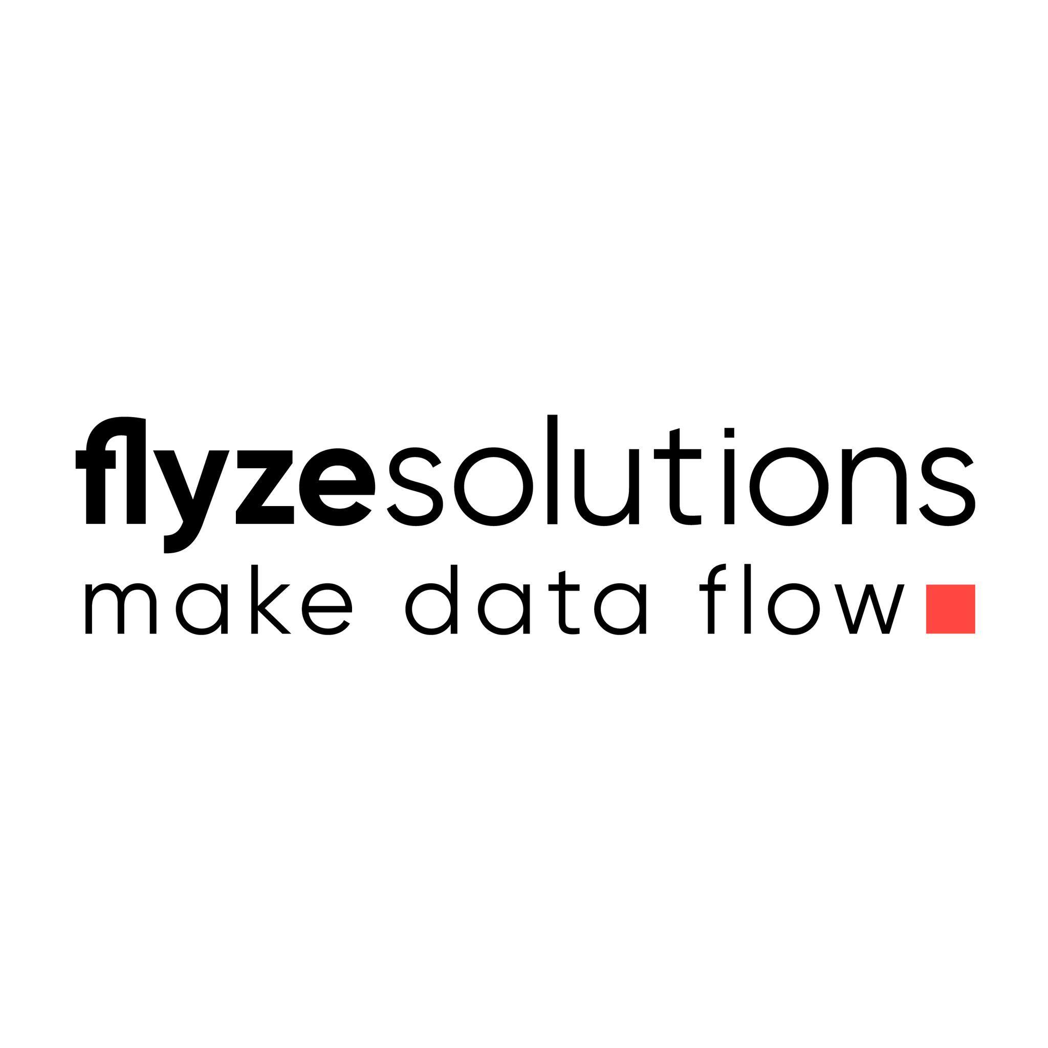 flyze.solutions
