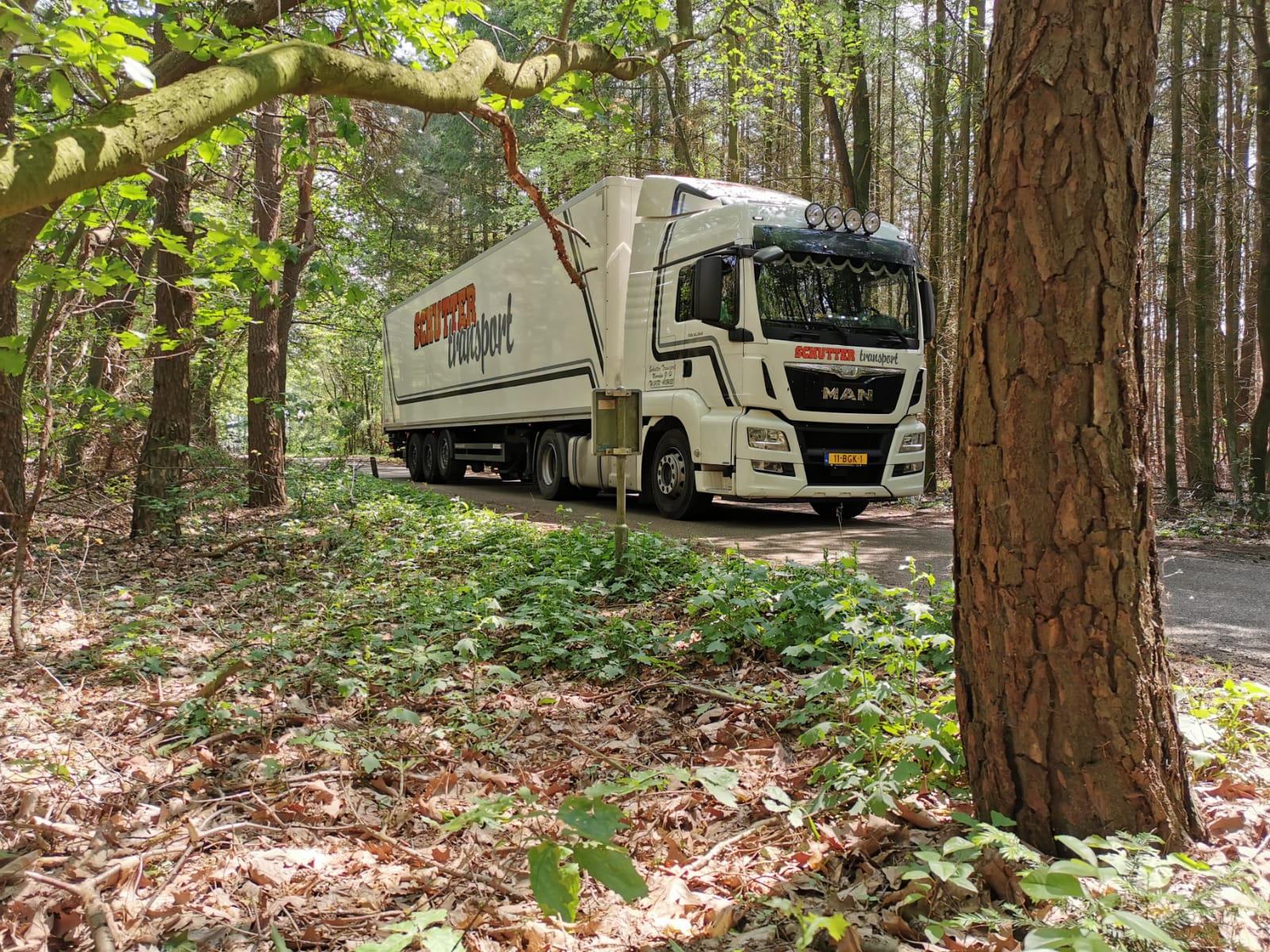 Schutter Transport