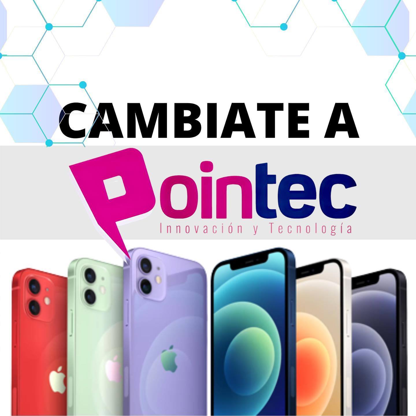 Pointec.top