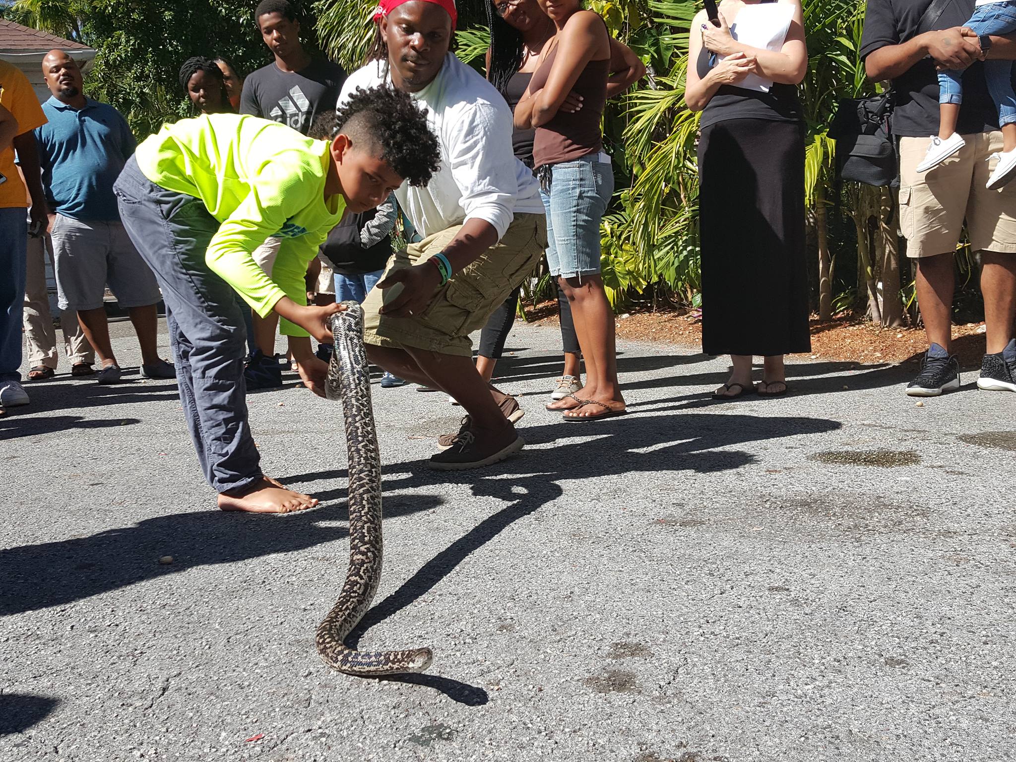 Nassau's Snake Rescue Team | Nassau City