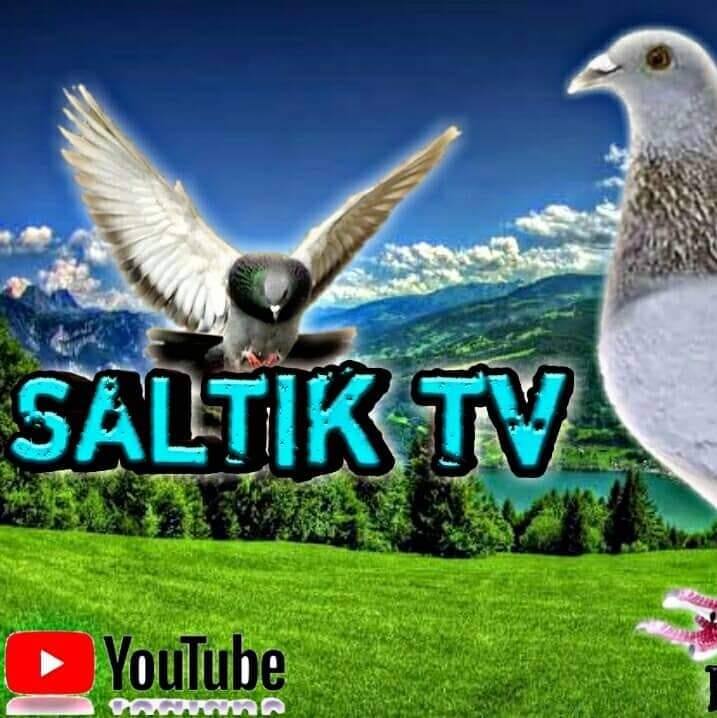 Saltik TV RXS